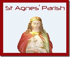 agnes-logo