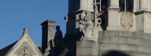 loyola tcd